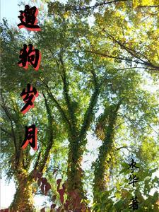 适合遛狗朋友圈的短句