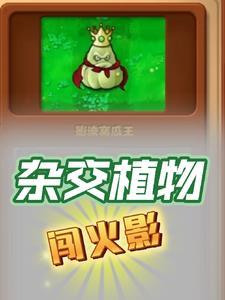 我在火影世界搅基