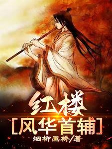 红楼风华首辅_烟柳画桥_红楼风华首辅