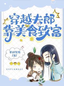 穿越小夫郎靠美食致富动漫