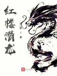 红楼潜龙 妙书斋