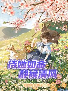 我的傻瓜妈妈阅读答案