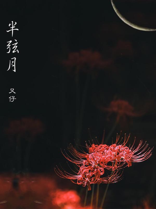 半弦月防摔蚊帐安装视频