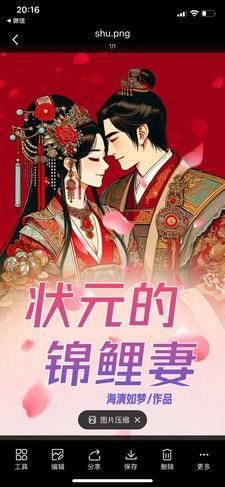 状元辣妻免费阅读
