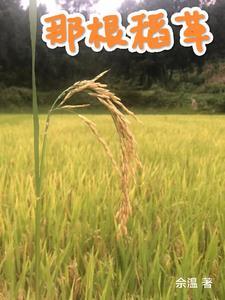 一根稻草什么意思