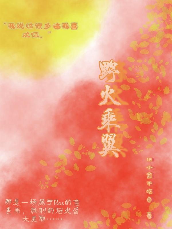 lwip 野火