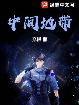 中间地带有什么和什么两部分