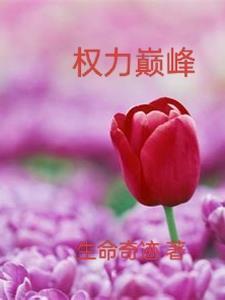 权力巅峰作者是谁
