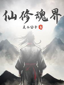 魂修的境界