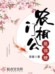 农门相公是锦鲤 起点