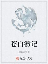 苍白徽记TXT