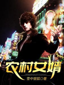 农村女婿大结局