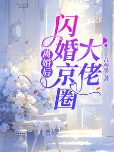 闪婚又离婚