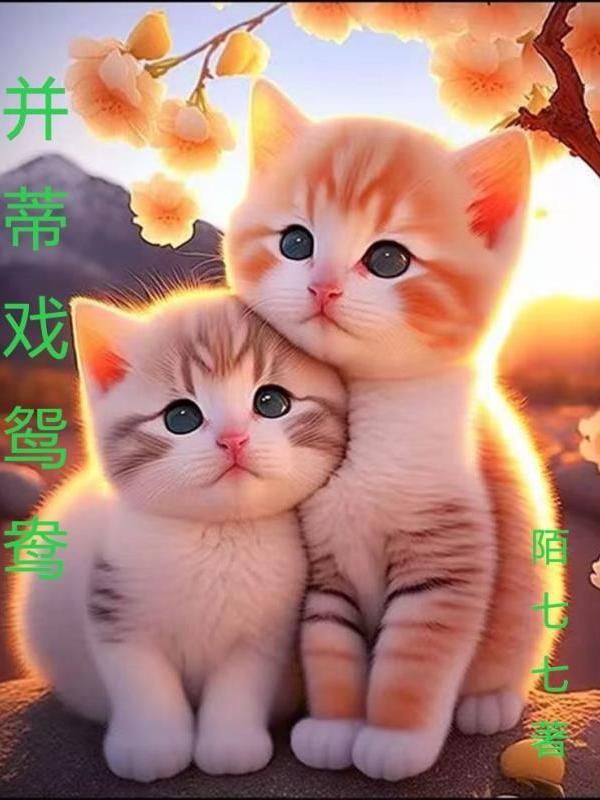 鸳鸯并蒂莲的寓意