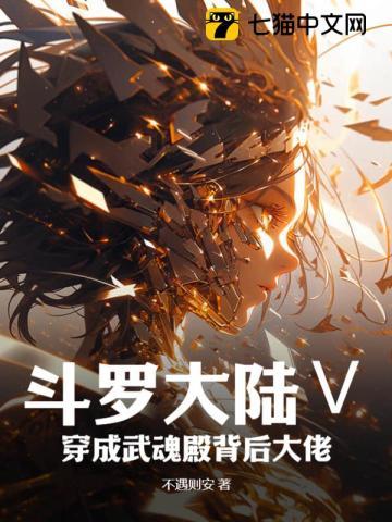 穿越斗罗大陆之武魂殿