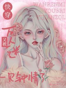 万人迷快穿指南