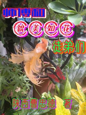 师傅他貌美如花好看吗