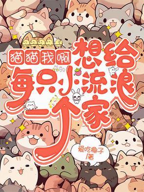 给流浪猫一个温暖