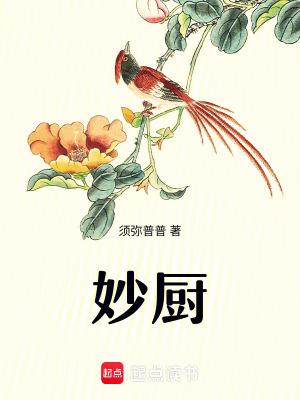 妙厨全本TXT