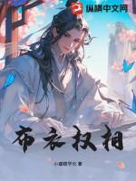 布衣权相短剧免费观看全集在线