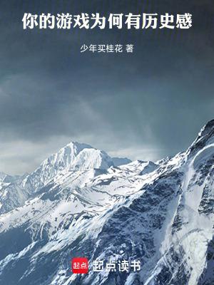 你的游戏为何有历史感篱笆好