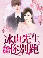 冰山总裁小萌妻动漫免费阅读全文
