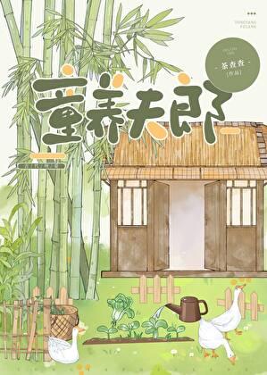 裴家夫郎剧透