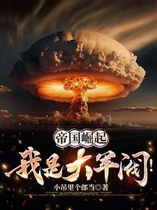 我是大军阀免费阅读