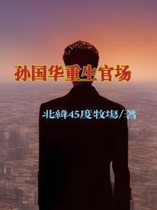 重生90入仕官场