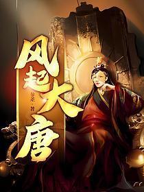 风起大唐作品集