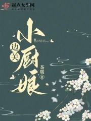边关小厨娘158