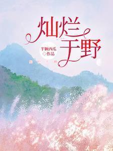 灿烂()()