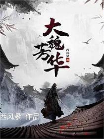 大魏芳华有加料版吗