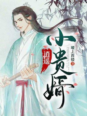 逍遥小贵婿人物介绍