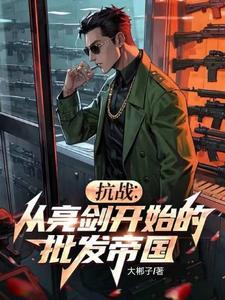 抗战从亮剑开始的批发帝国303
