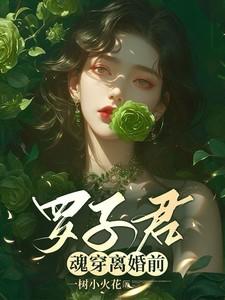 罗子君魂穿离婚前结局