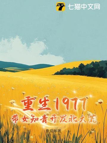 重生知青七十年代