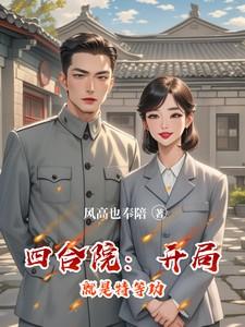 四合院开局就是特等功第