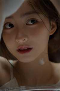 苏尘柳如烟苏小可