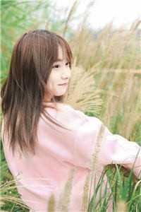 芬恩艾姆斯