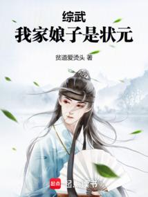 综武我家娘子是状元libahao