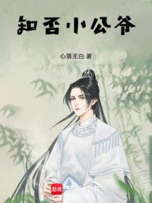 知否小公爷科考中了吗