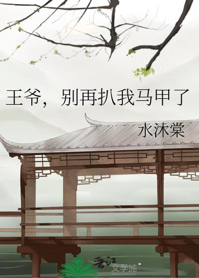 别再扒我马甲了作者水沐棠