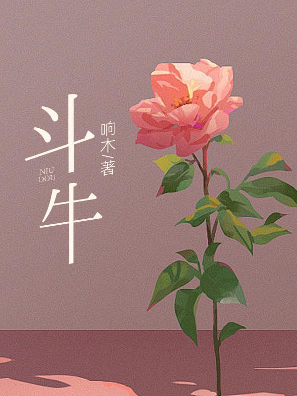 斗牛周杰伦