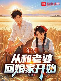 年代从和老婆回娘家开始 书评