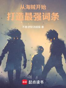从海贼开始打造最强词条笔趣