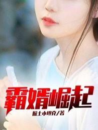 霸婿崛起宋思晴