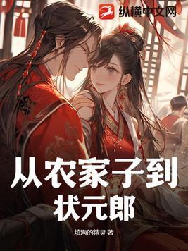 从农家子到状元郎大结局