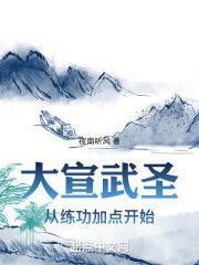 大宣武圣笔趣阁无弹窗
