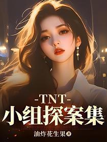 tnt小组探案集免费完整版